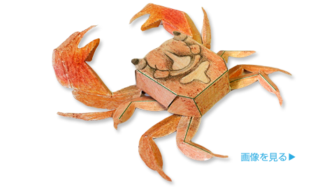 ペーパークラフト「クロベンケイガニ」